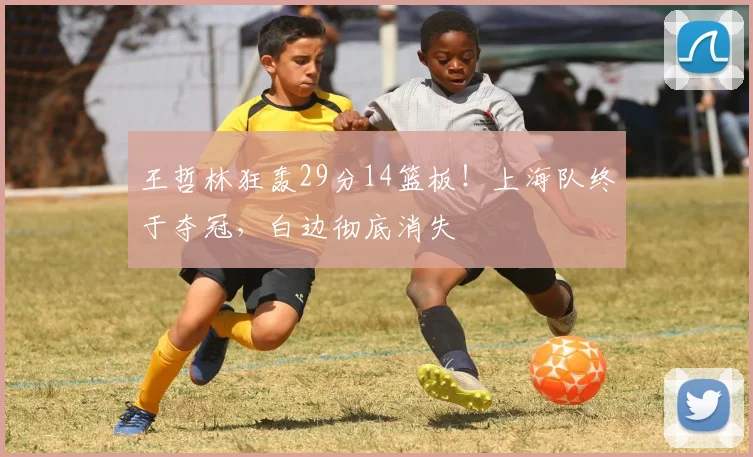 王哲林狂轰29分14篮板！上海队终于夺冠，白边彻底消失