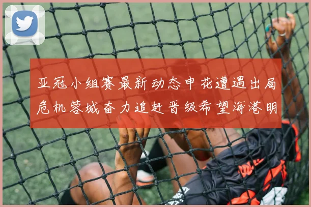 亚冠小组赛最新动态申花遭遇出局危机蓉城奋力追赶晋级希望海港明日迎战挑战