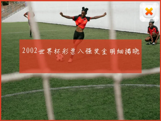 2002世界杯彩票八强奖金明细揭晓