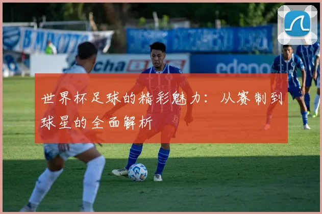 世界杯足球的精彩魅力：从赛制到球星的全面解析