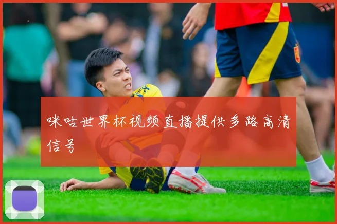 咪咕世界杯视频直播提供多路高清信号