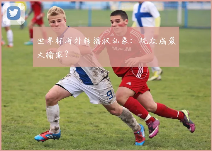 世界杯海外转播权乱象：观众成最大输家？