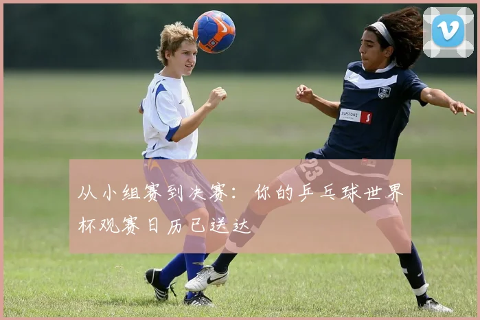从小组赛到决赛：你的乒乓球世界杯观赛日历已送达