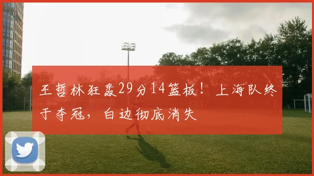 王哲林狂轰29分14篮板！上海队终于夺冠，白边彻底消失