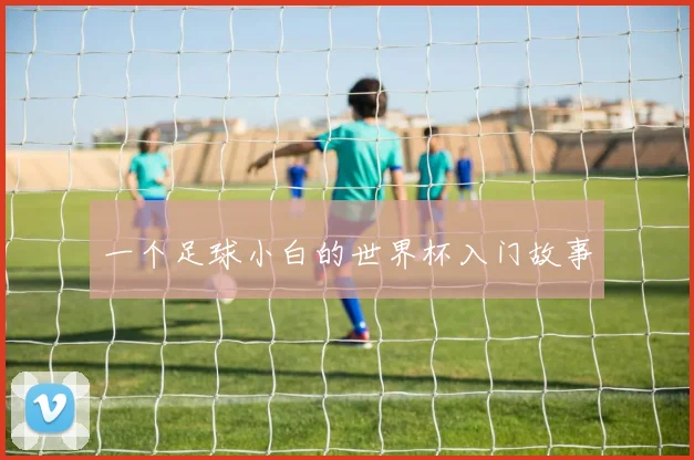 一个足球小白的世界杯入门故事