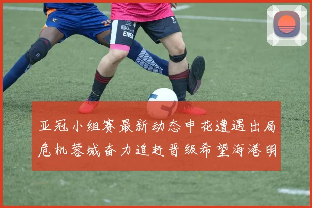 亚冠小组赛最新动态申花遭遇出局危机蓉城奋力追赶晋级希望海港明日迎战挑战