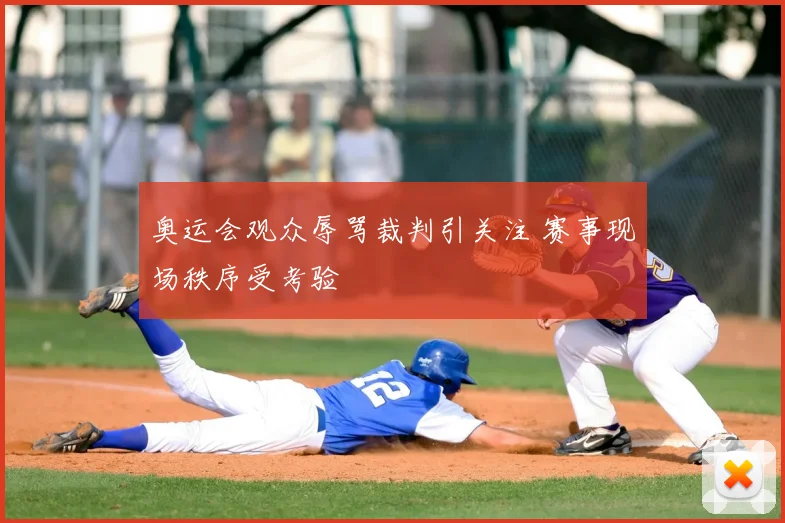 奥运会观众辱骂裁判引关注 赛事现场秩序受考验