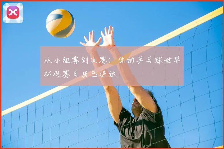 从小组赛到决赛：你的乒乓球世界杯观赛日历已送达