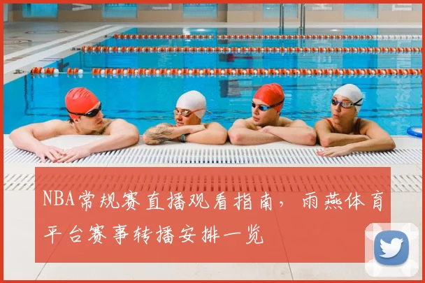 NBA常规赛直播观看指南，雨燕体育平台赛事转播安排一览