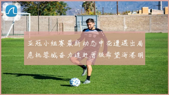 亚冠小组赛最新动态申花遭遇出局危机蓉城奋力追赶晋级希望海港明日迎战挑战