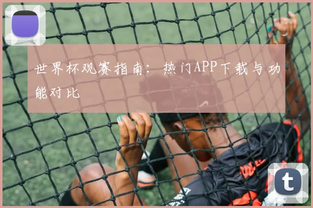 世界杯观赛指南：热门APP下载与功能对比