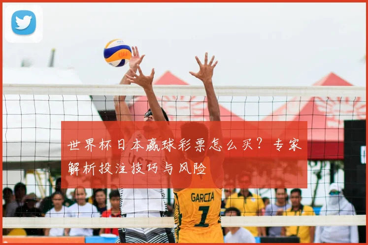 世界杯日本赢球彩票怎么买?专家解析投注技巧与风险