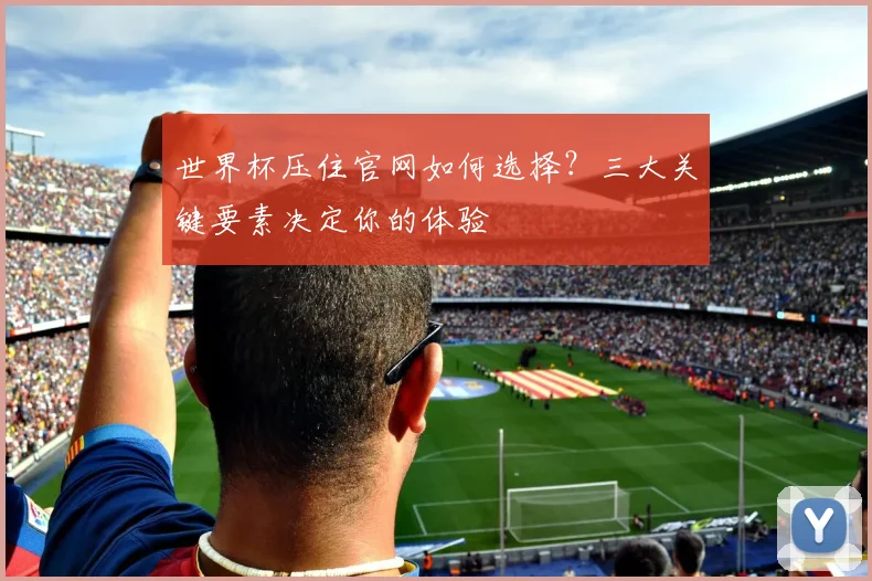 世界杯压住官网如何选择？三大关键要素决定你的体验