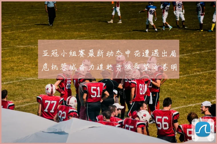 亚冠小组赛最新动态申花遭遇出局危机蓉城奋力追赶晋级希望海港明日迎战挑战