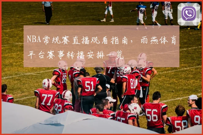 NBA常规赛直播观看指南,雨燕体育平台赛事转播安排一览