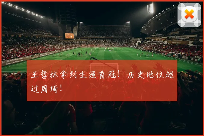 王哲林拿到生涯首冠！历史地位超过周琦！