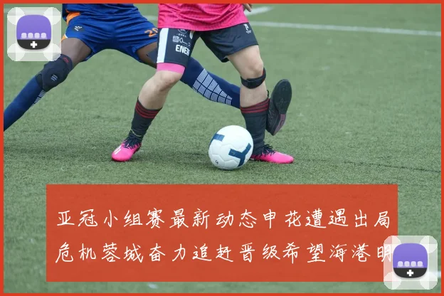 亚冠小组赛最新动态申花遭遇出局危机蓉城奋力追赶晋级希望海港明日迎战挑战