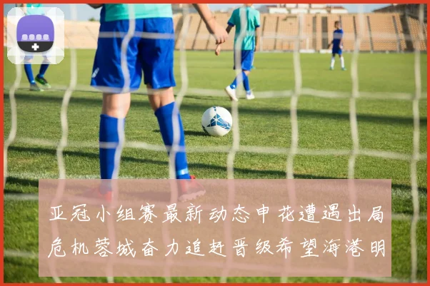 亚冠小组赛最新动态申花遭遇出局危机蓉城奋力追赶晋级希望海港明日迎战挑战